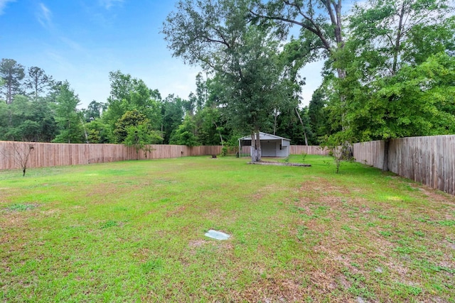 10732 Sycamore Ridge Ln, Tallahassee, FL 32305 - view of yard