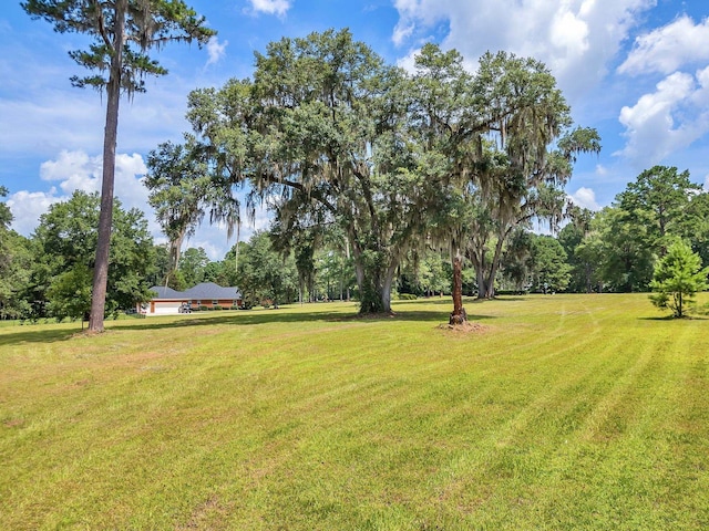 0 Old Chemonie Rd, Tallahassee, FL 32309 - photo 4