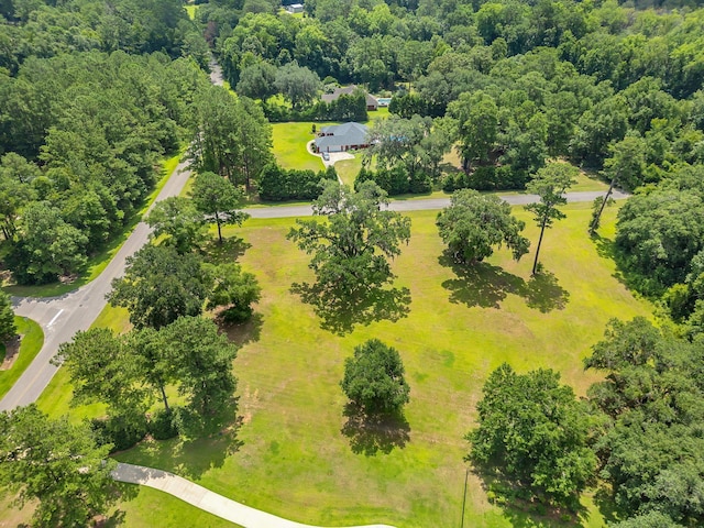 0 Old Chemonie Rd, Tallahassee, FL 32309 - photo 9