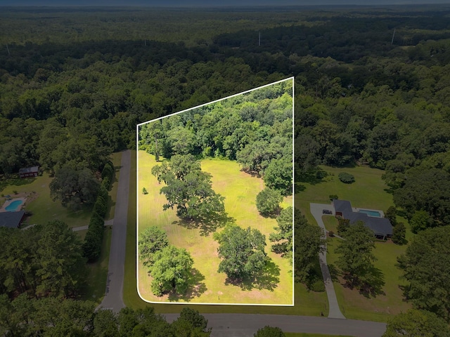 0 Old Chemonie Rd, Tallahassee, FL 32309 - photo 2