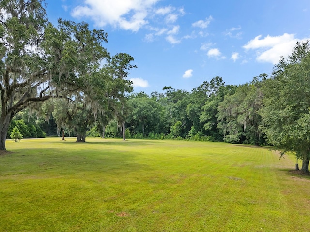 0 Old Chemonie Rd, Tallahassee, FL 32309 - photo 1