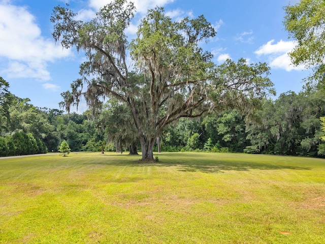 0 Old Chemonie Rd, Tallahassee, FL 32309 - photo 3