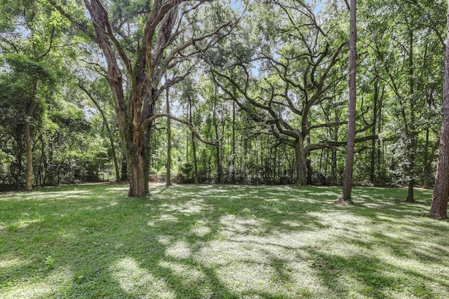 4557 Running Meadows Ln, Tallahassee, FL 32303 - view of green lawn with a view of trees