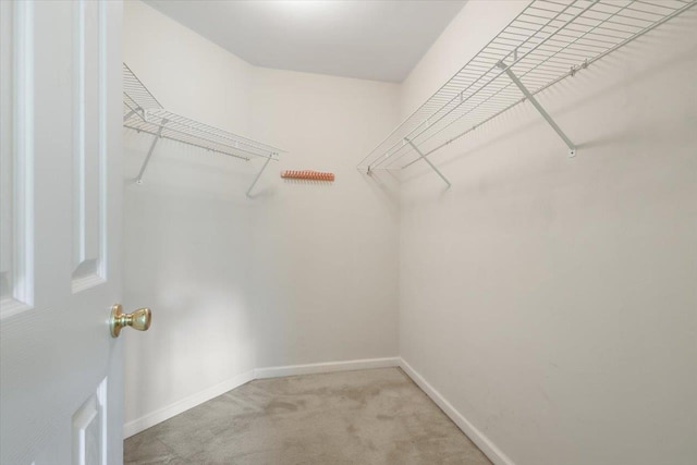 2689 Fairmount Ln, Tallahassee, FL 32308 - photo 24