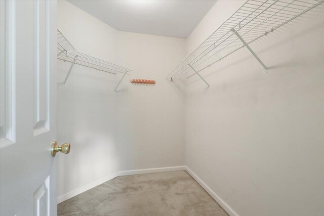 2689 Fairmount Ln, Tallahassee, FL 32308 - photo 28