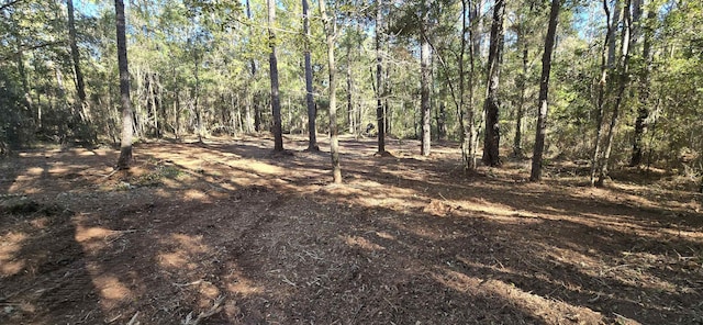 Cherokee Dr, Sopchoppy, FL 32358 - photo 9