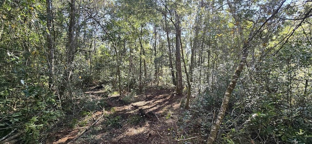 Cherokee Dr, Sopchoppy, FL 32358 - photo 5