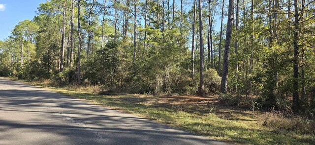 Cherokee Dr, Sopchoppy, FL 32358 - photo 11