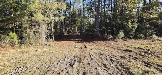 Cherokee Dr, Sopchoppy, FL 32358 - photo 13
