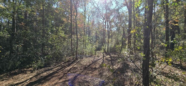 Cherokee Dr, Sopchoppy, FL 32358 - photo 6