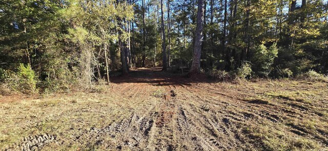 Cherokee Dr, Sopchoppy, FL 32358 - photo 10