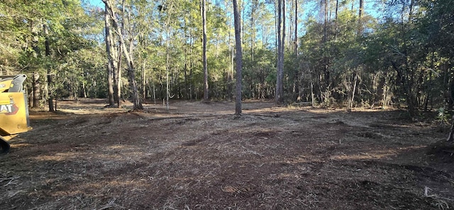 Cherokee Dr, Sopchoppy, FL 32358 - photo 14