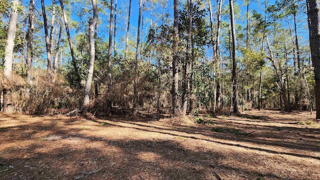 Listing photo 2 for Cherokee Dr, Sopchoppy FL 32358