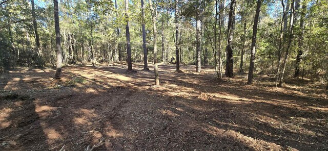 Cherokee Dr, Sopchoppy, FL 32358 - photo 12