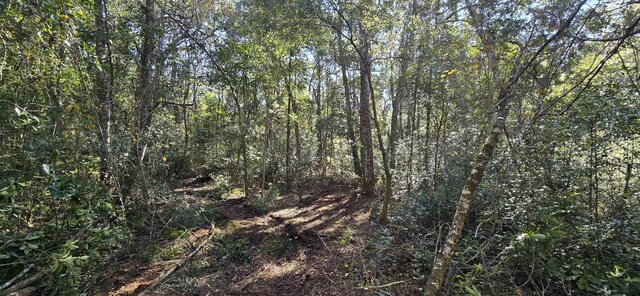 Cherokee Dr, Sopchoppy, FL 32358 - photo 8