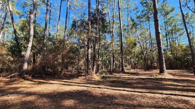 Cherokee Dr, Sopchoppy, FL 32358 - photo 4