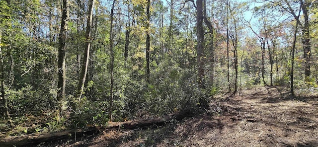 Cherokee Dr, Sopchoppy, FL 32358 - photo 15