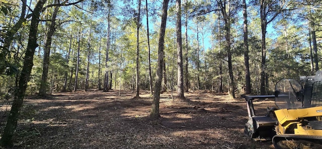 Cherokee Dr, Sopchoppy, FL 32358 - photo 16
