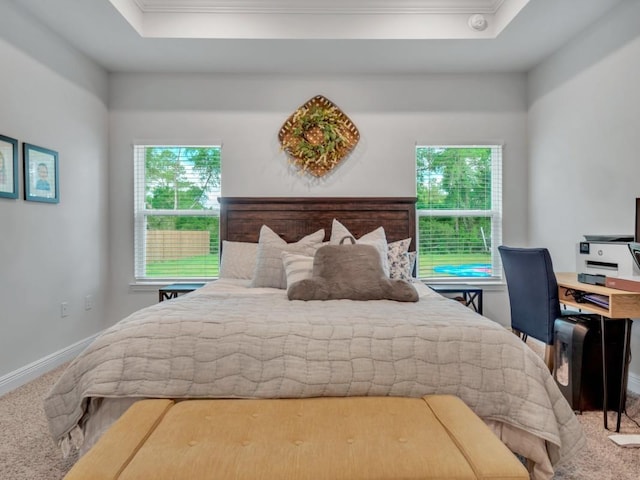 bedroom featuring a raised ceiling, multiple windows, and crown molding