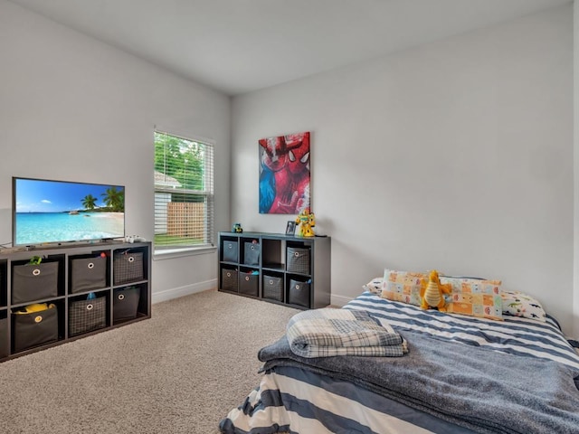 bedroom with carpet flooring