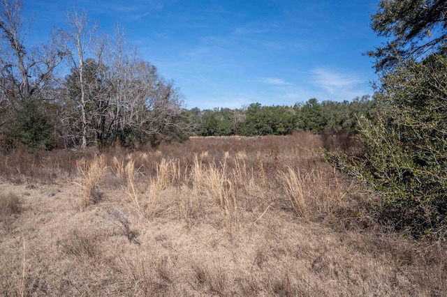 Listing photo 2 for Vacant Hartsfield Road, Monticello FL 32344