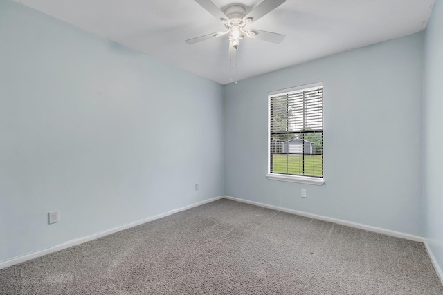 172 Ann Cir, Crawfordville, FL 32327 - photo 26