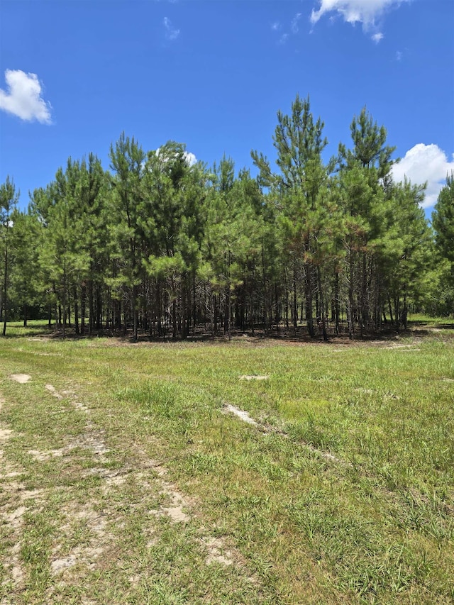 7440 Alton Wendtworth Rd, Greenville, FL 32331 - photo 7