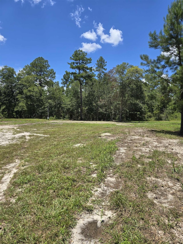7440 Alton Wendtworth Rd, Greenville, FL 32331 - photo 4