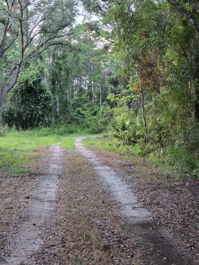 7440 Alton Wendtworth Rd, Greenville, FL 32331 - photo 2