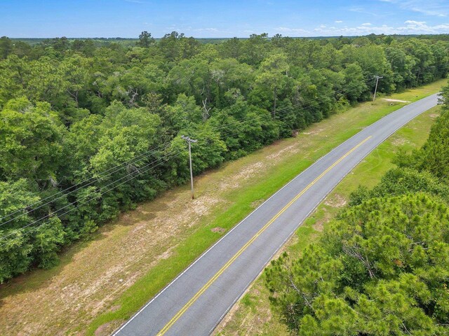 XX Old Federal Rd, Quincy, FL 32351 - photo 7