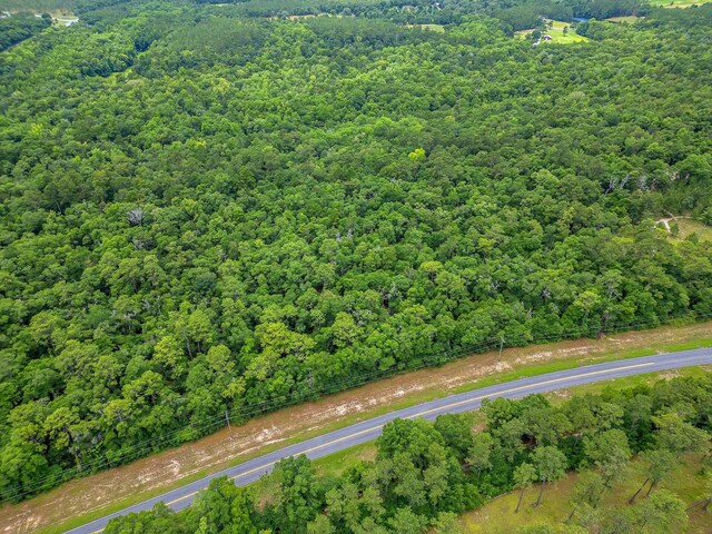 XX Old Federal Rd, Quincy, FL 32351 - photo 3