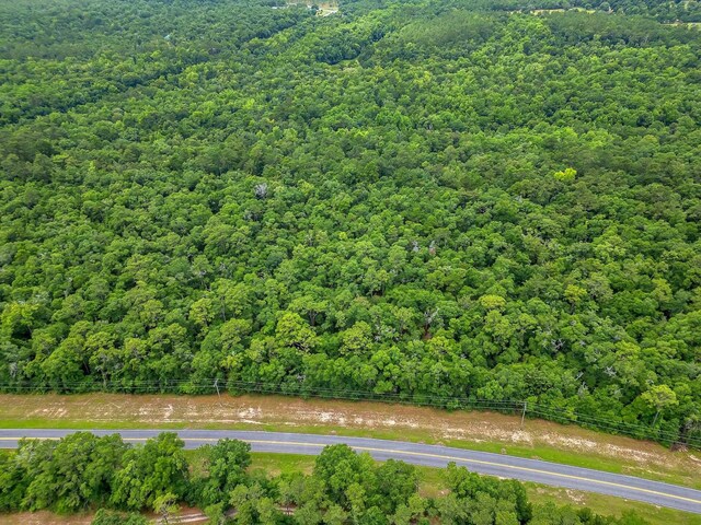XX Old Federal Rd, Quincy, FL 32351 - photo 1