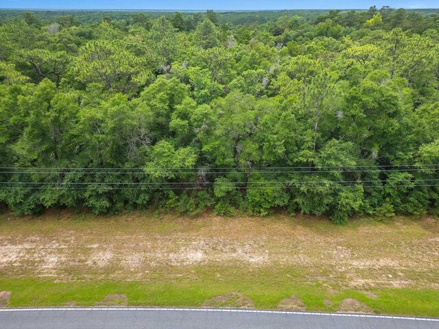 XX Old Federal Rd, Quincy, FL 32351 - photo 6