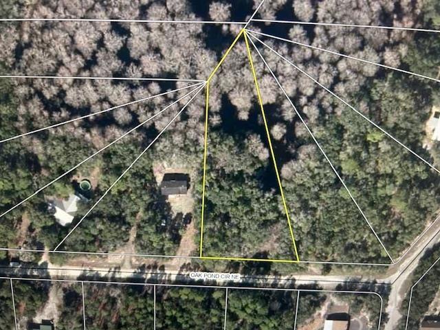LOT127 NE Oak Pond Cir, Steinhatchee, FL 32359