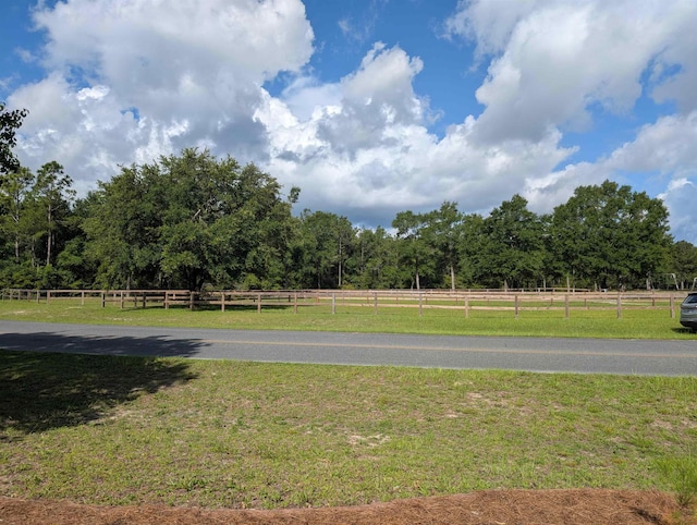311 Revell Rd, Crawfordville, FL 32327 - photo 4