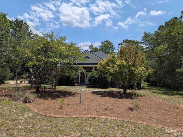 311 Revell Rd, Crawfordville, FL 32327 - photo 6