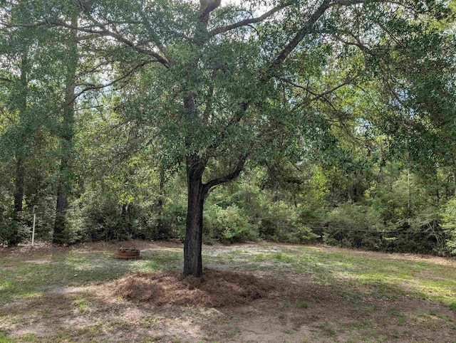311 Revell Rd, Crawfordville, FL 32327 - photo 3
