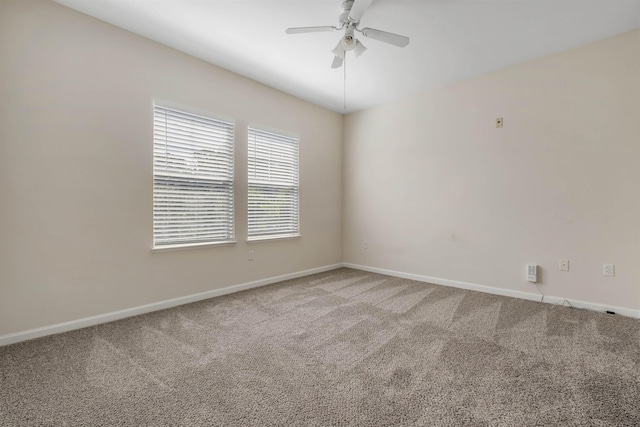 2801 Chancellorsville Dr Unit 536, Tallahassee, FL 32312 - photo 8