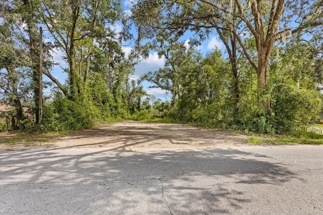 305 W High St, Perry, FL 32347 - photo 23