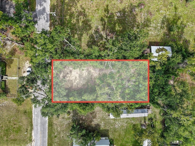 305 W High St, Perry, FL 32347 - photo 34