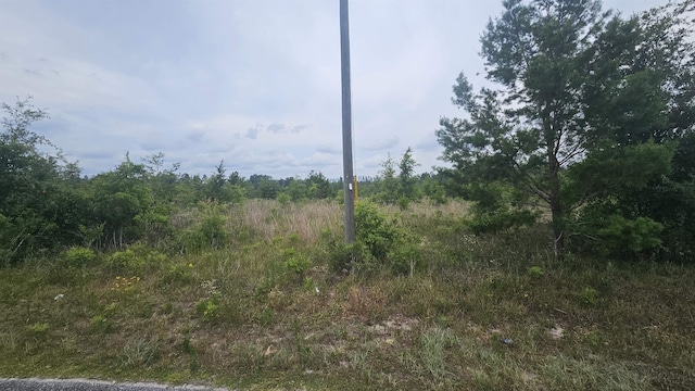 Beulah Church Rd, Lee, FL 32059 - photo 7