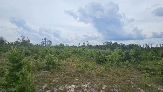 Beulah Church Rd, Lee, FL 32059 - photo 10