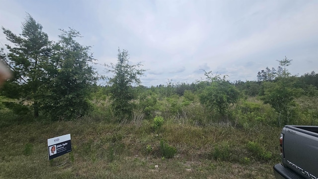 Beulah Church Rd, Lee, FL 32059 - photo 2