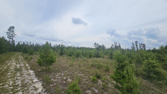 Beulah Church Rd, Lee, FL 32059 - photo 6