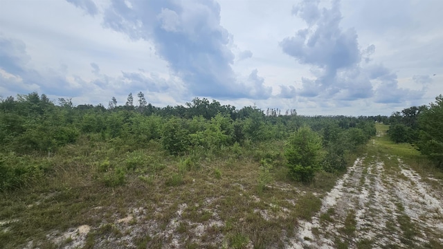 Beulah Church Rd, Lee, FL 32059 - photo 8
