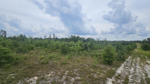 Beulah Church Rd, Lee, FL 32059 - photo 11