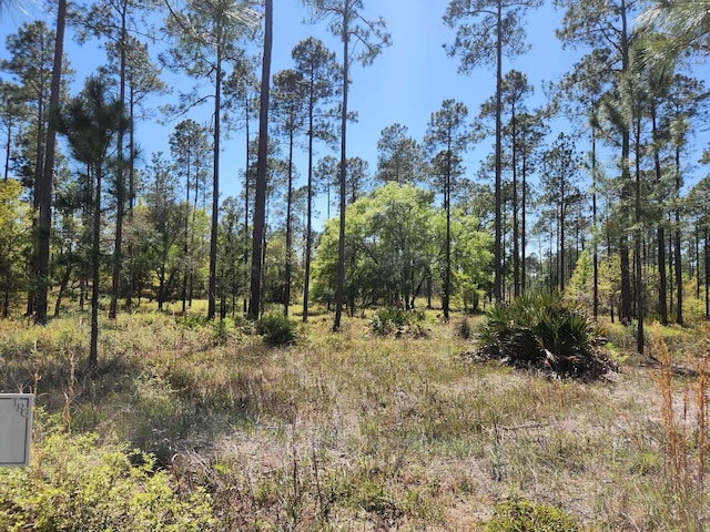 0 Breakaway Gap Rd, Tallahassee FL, 32305 land for sale