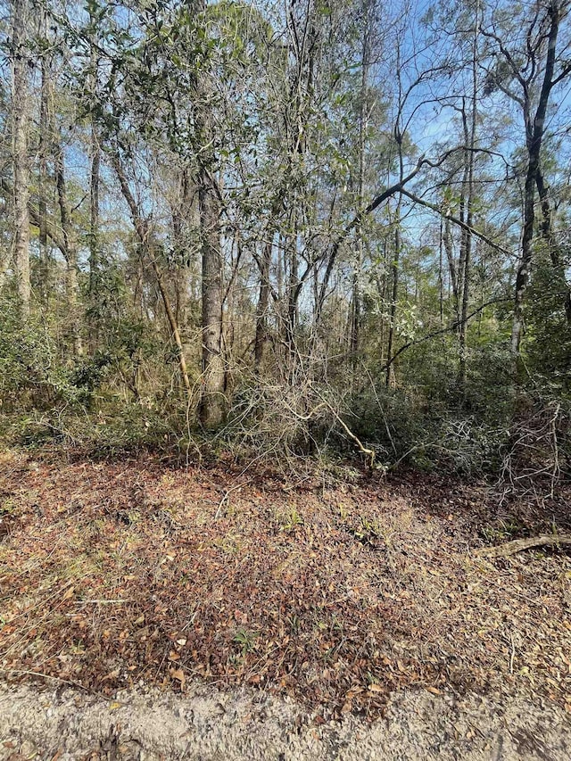 Listing photo 3 for XX Neeley Rd, Crawfordville FL 32327