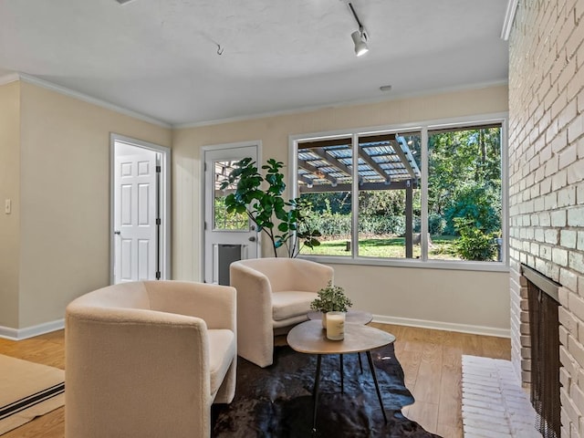 living area with rail lighting, ornamental molding, a fireplace, and light hardwood / wood-style flooring