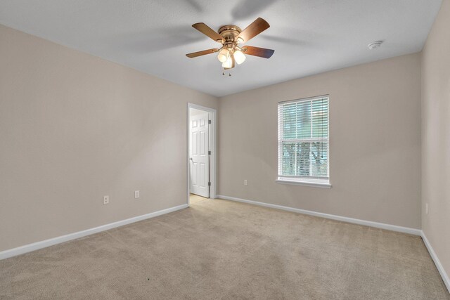 4434 Gearhart Rd Unit 2203, Tallahassee, FL 32303 - photo 20